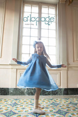 ALAPAGE GLISS RHINESTONE ORGANZA DRESS