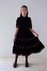 PETITE AMALIE LACE VELVET MIDI DRESS