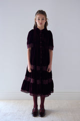 PETITE AMALIE LACE VELVET MIDI DRESS