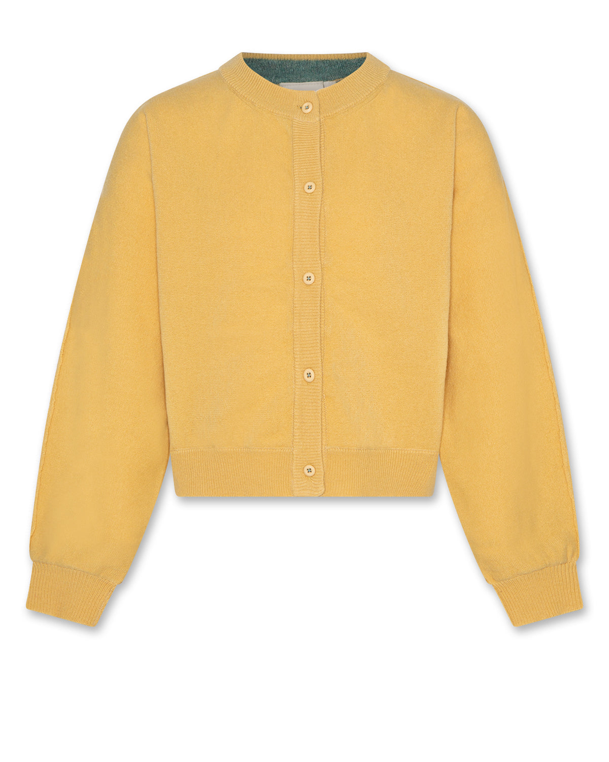 AO 76 PATTI BUTTON DOWN CARDIGAN