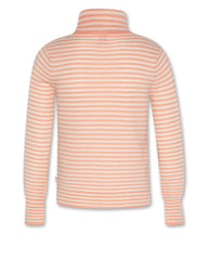 AO 76 VICKY STRIPED TURTLE