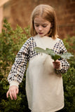 PICNIK GINGHAM SLEEVE DRESS
