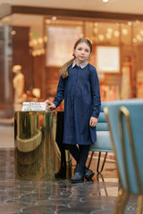 VELVETTE LABEL LONG SLEEVE STRIPE COLLAR BUTTON DOWN DRESS
