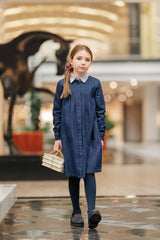 VELVETTE LABEL LONG SLEEVE STRIPE COLLAR BUTTON DOWN DRESS