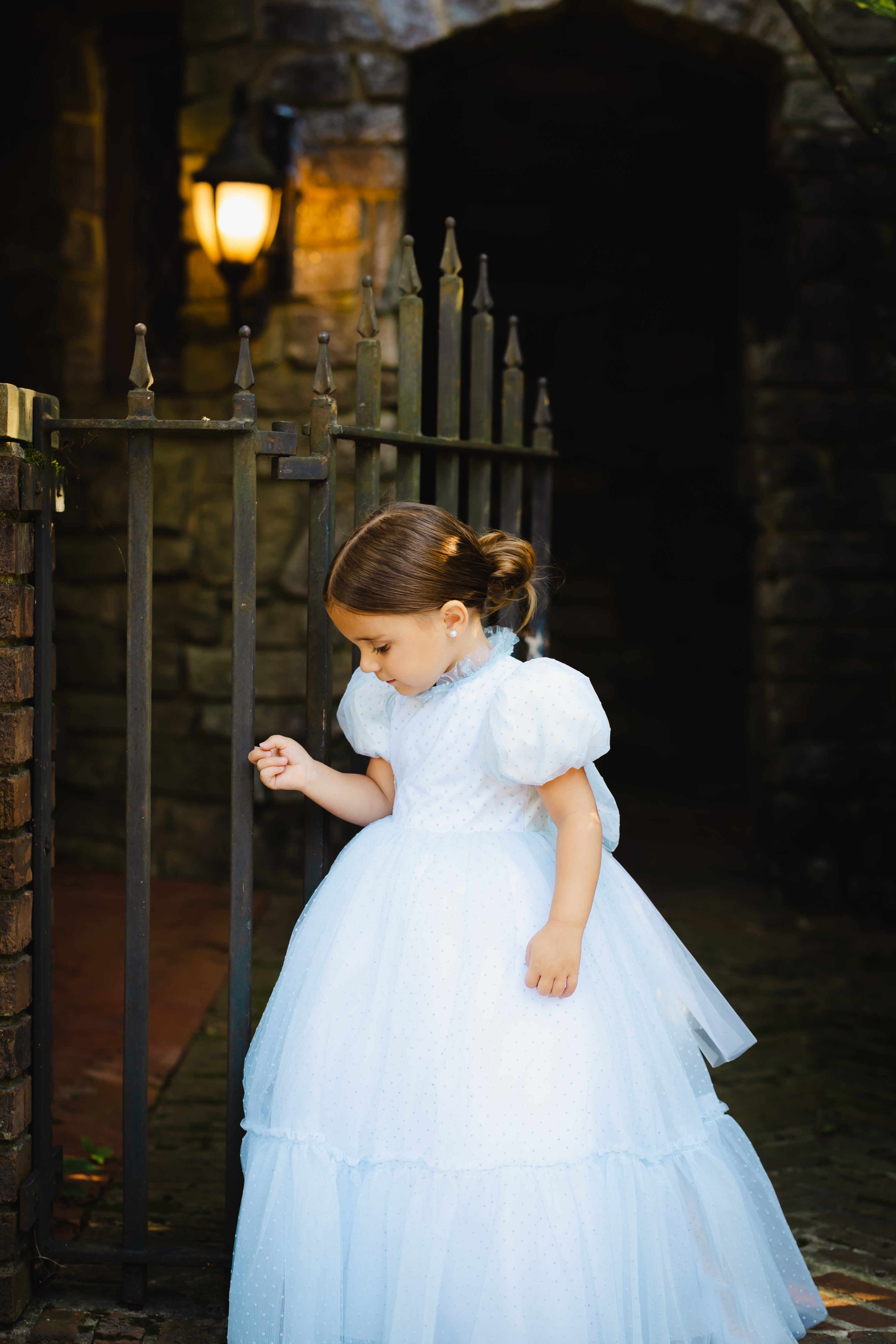 ZOE TONE ON TONE POLKA DOT RUFFLE BOTTOM TULLE GOWN