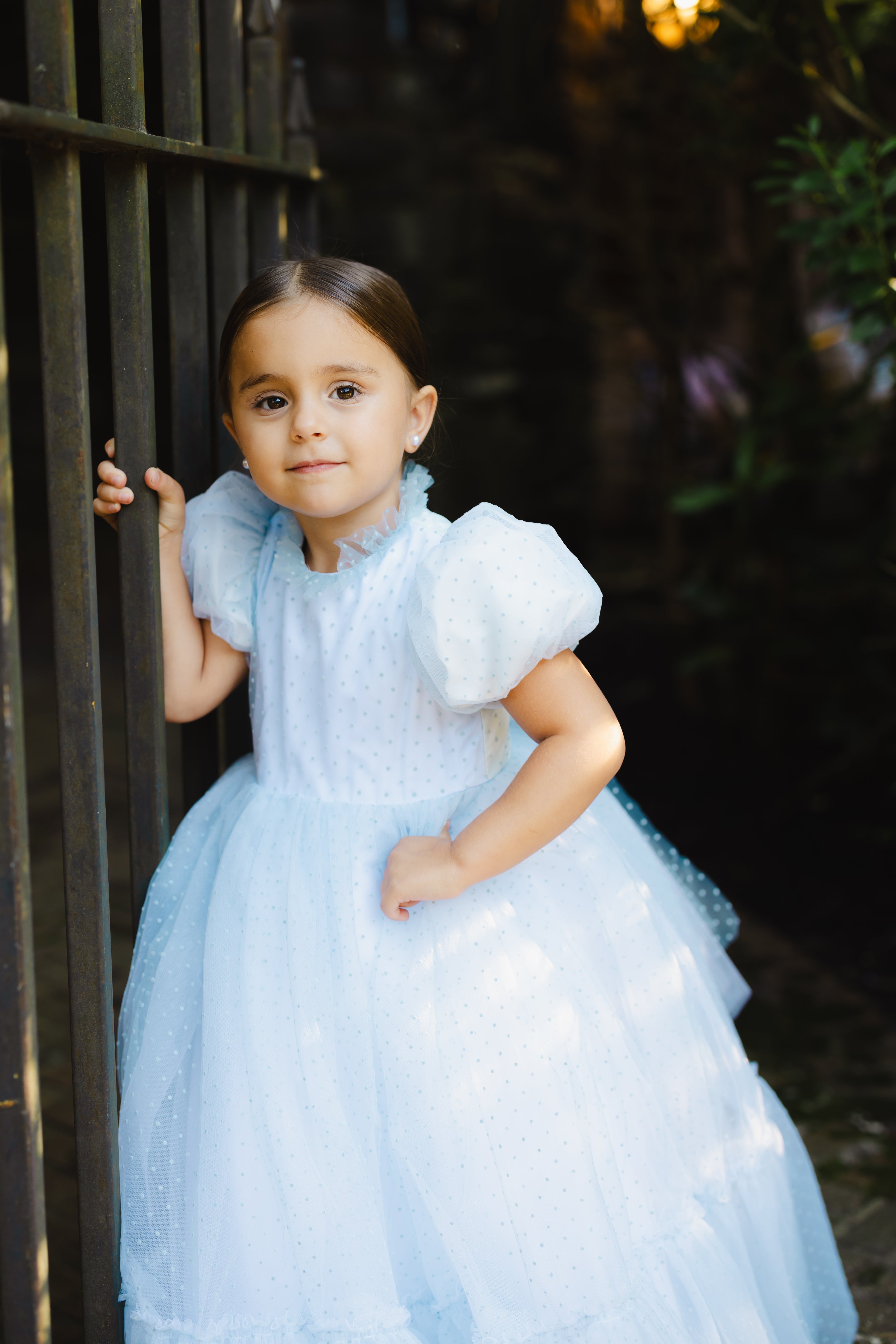 ZOE TONE ON TONE POLKA DOT RUFFLE BOTTOM TULLE GOWN