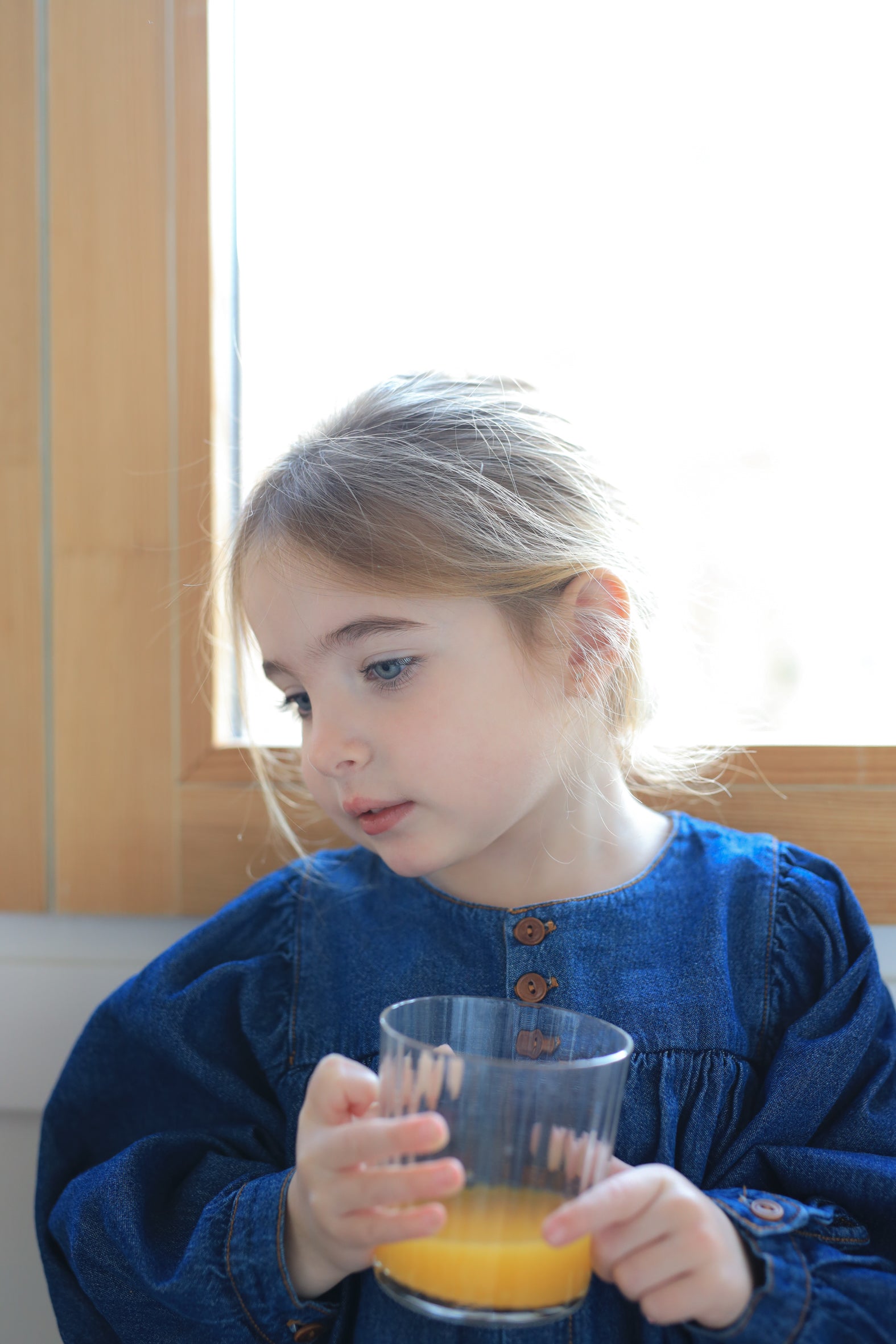 1+IN THE FAMILY  DENIM DRESS