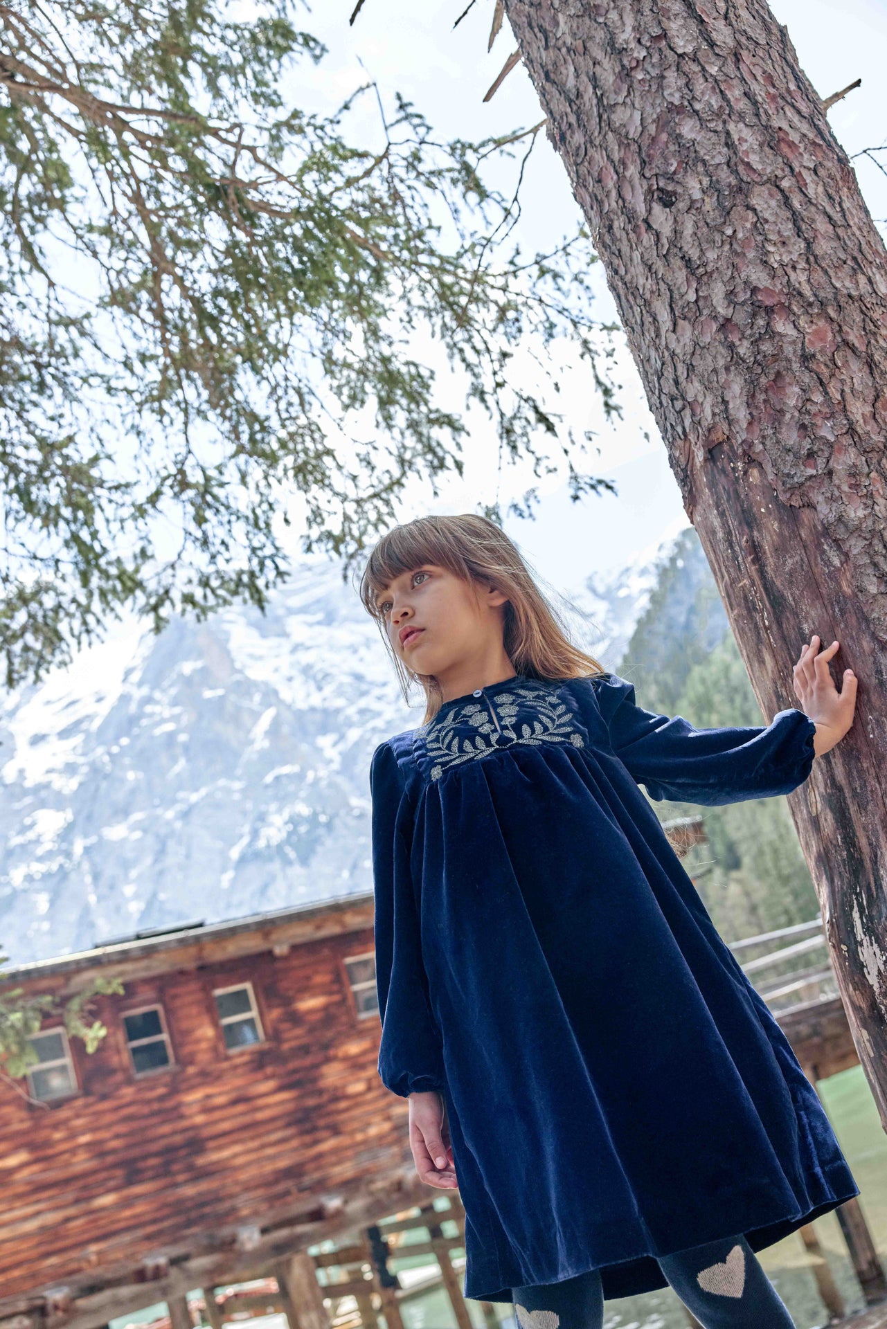 BONTON DAISY EMBROIDERY VELVET DRESS