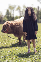 KIPP NOLA VELVET DRESS