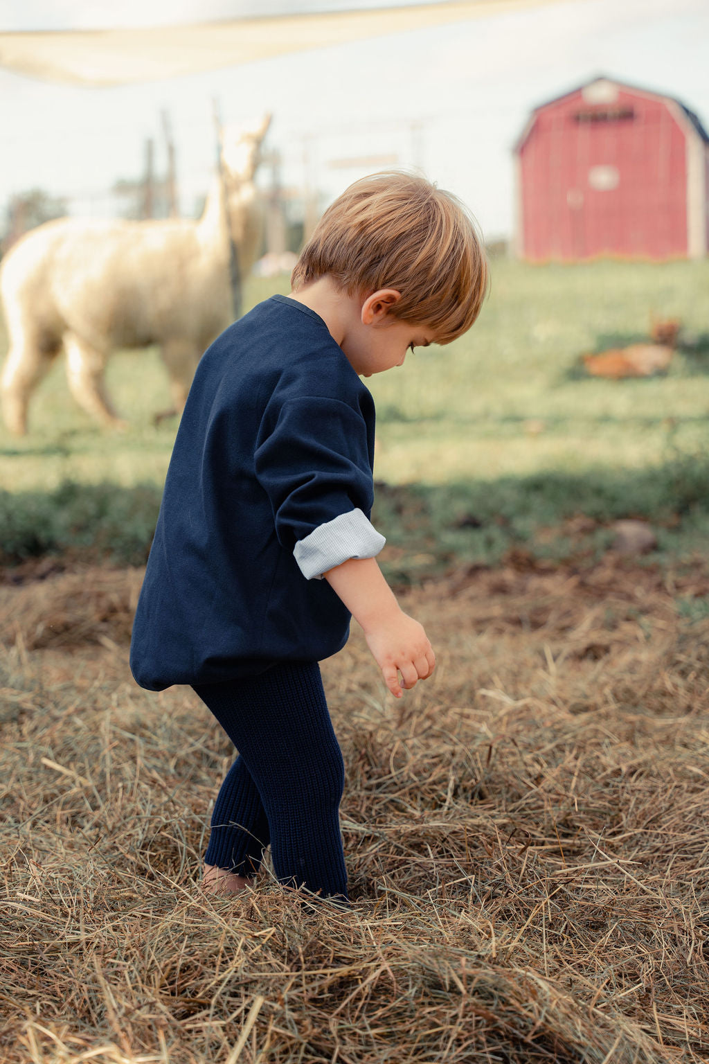 MINI NOD WOOL BLAZER