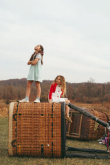 ONE CHILD TESSA EMBROIDERED CHERRY PLEATED DRESS