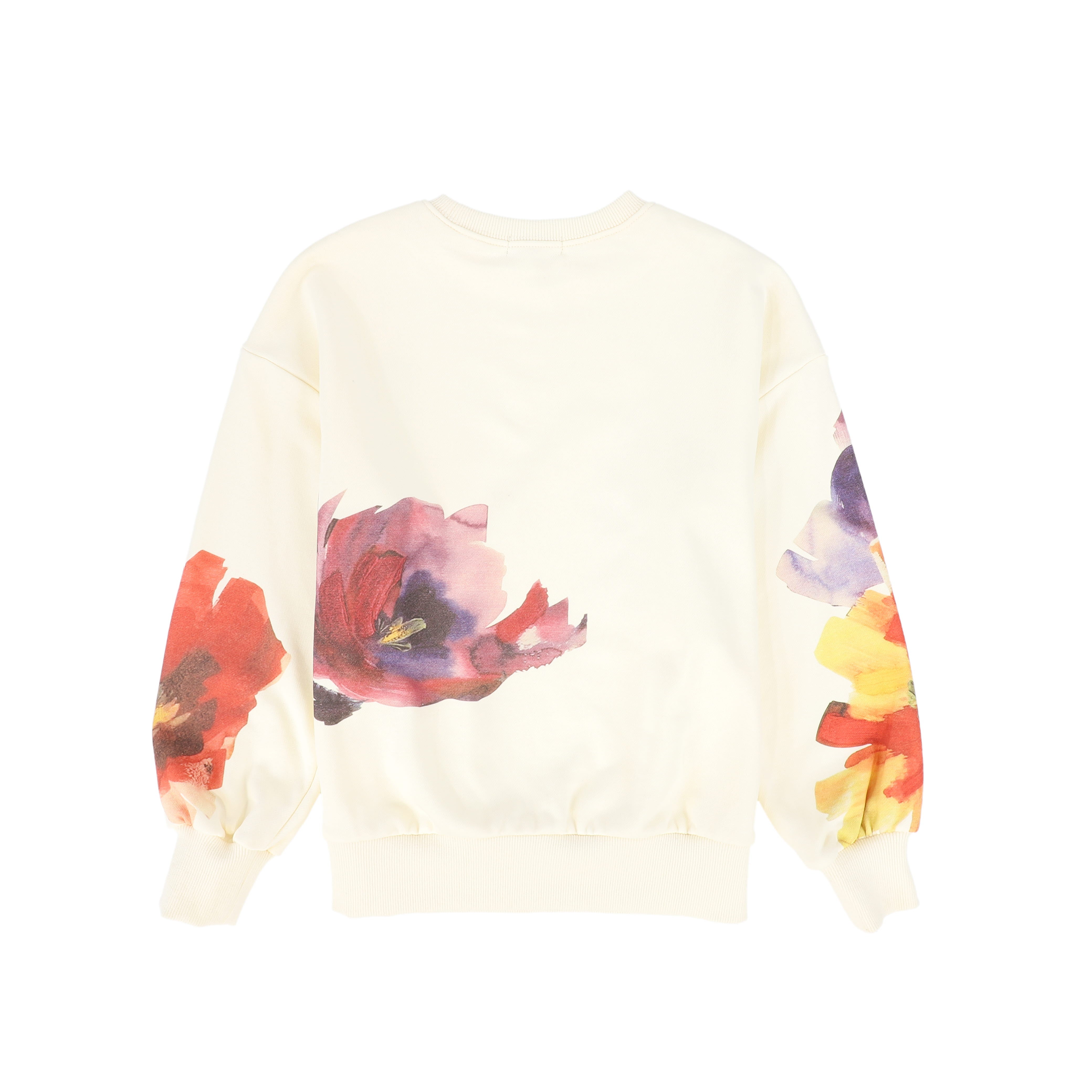 VALENTINA 2PC PAINTED FLOWER SWEATSHIRT WITH PLEATED MAXI CIRCLE SKIRT
