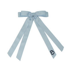 BANDEAU LARGE BOW CLIP