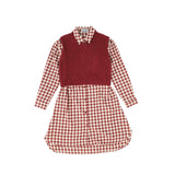 BACE COLLECTION FLANNEL GINGHAM OVERLAY SHIRT DRESS