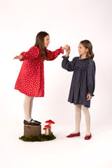 PICCOLA LUDO GIRELLA LONG SLEEVE SMOCKED PRINTED DRESS