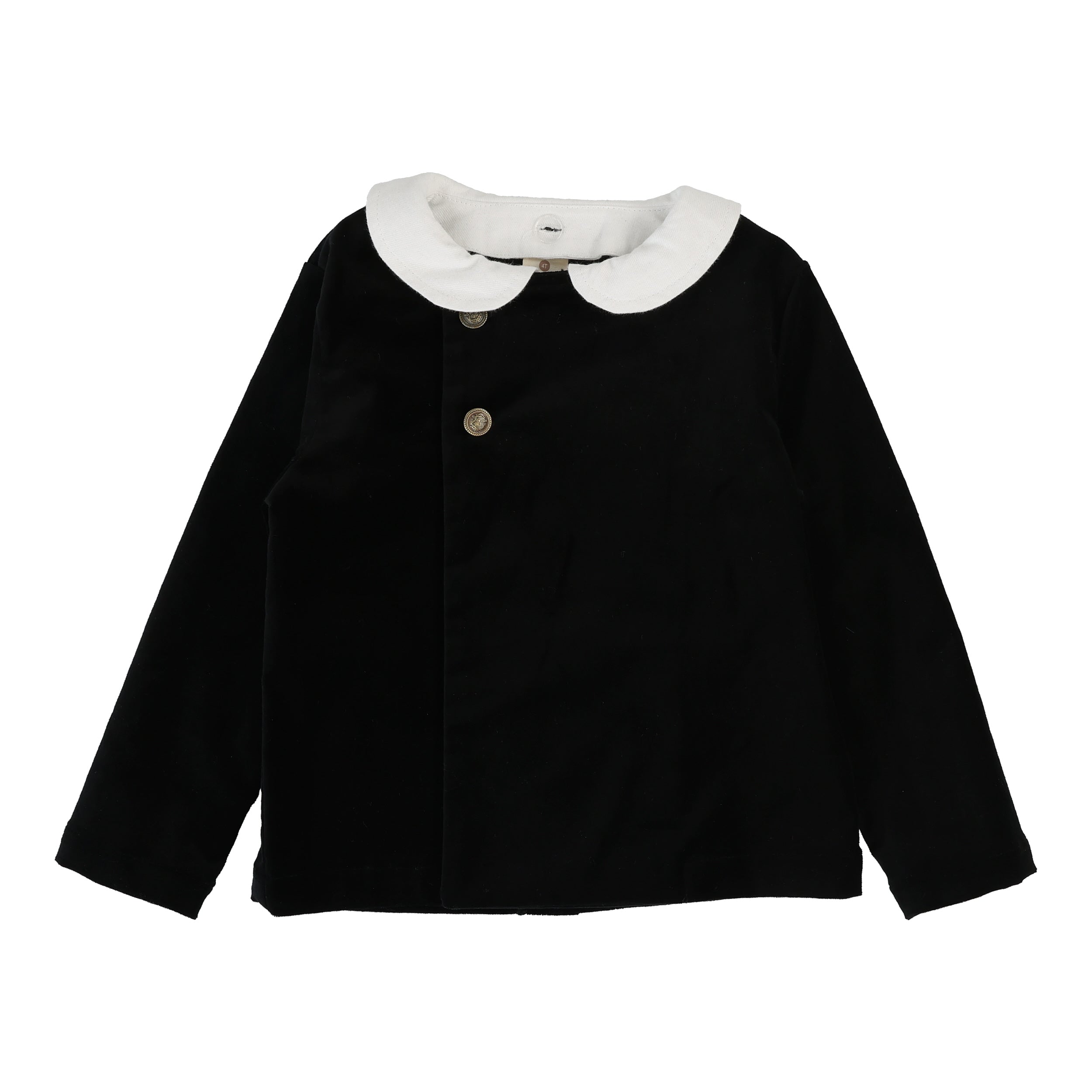 ANALOGIE 2PC VELVET BLAZER AND SHORTS SET